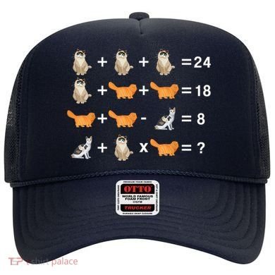 Cat Math Puzzle Hat