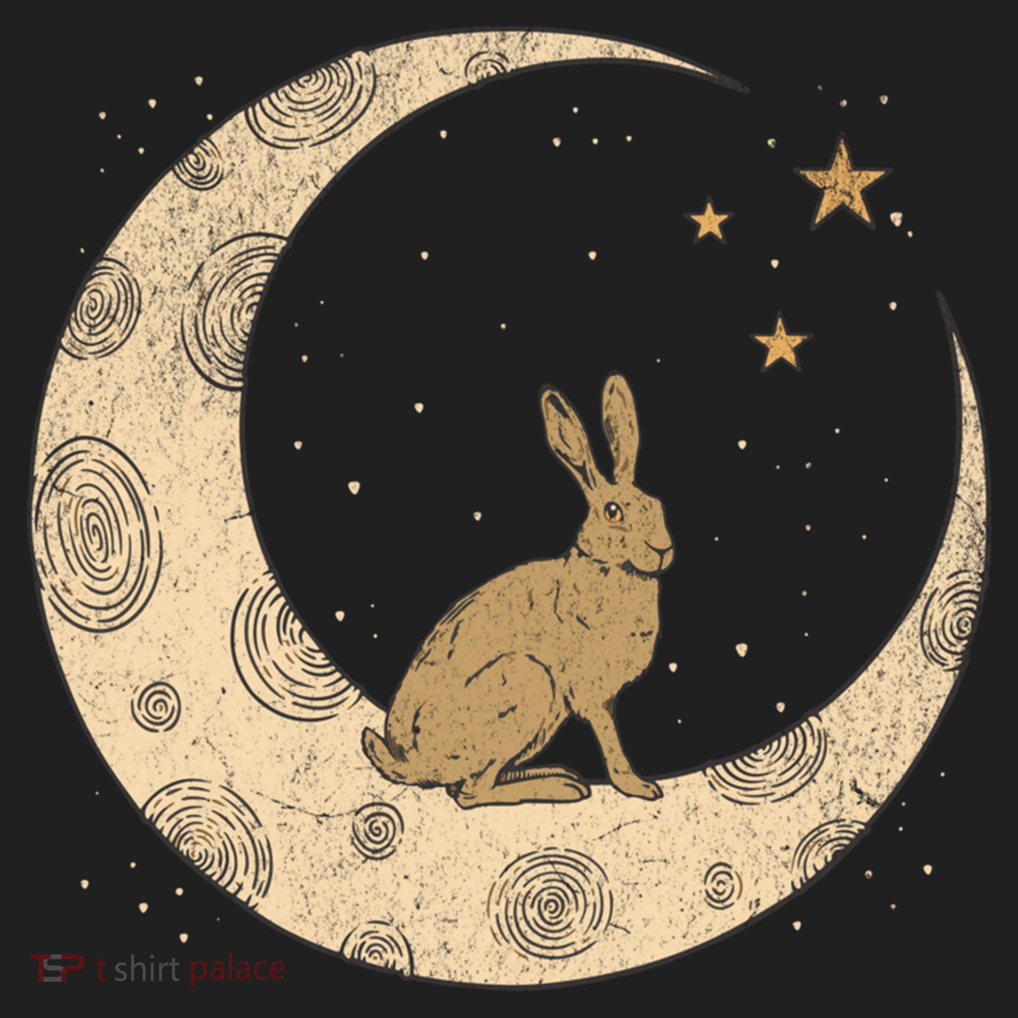 Crescent Moon Rabbit Stars Wiccan Wicca Witch Moon Phases Gift Women's Sweatshirt