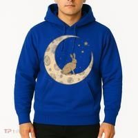 Crescent Moon Rabbit Stars Wiccan Wicca Witch Moon Phases Gift Hoodie thumb 2
