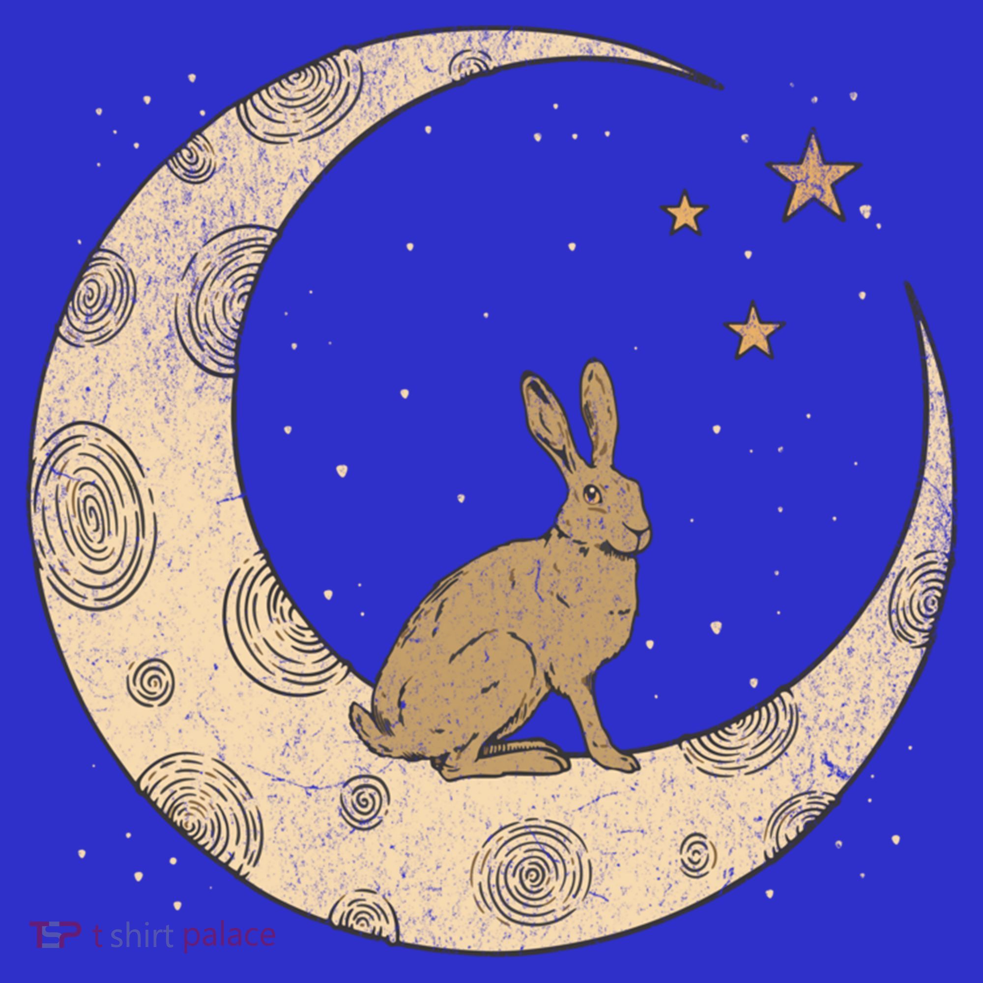 Crescent Moon Rabbit Stars Wiccan Wicca Witch Moon Phases Gift Coaster
