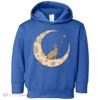 Crescent Moon Rabbit Stars Wiccan Wicca Witch Moon Phases Gift Toddler Hoodie thumb 0