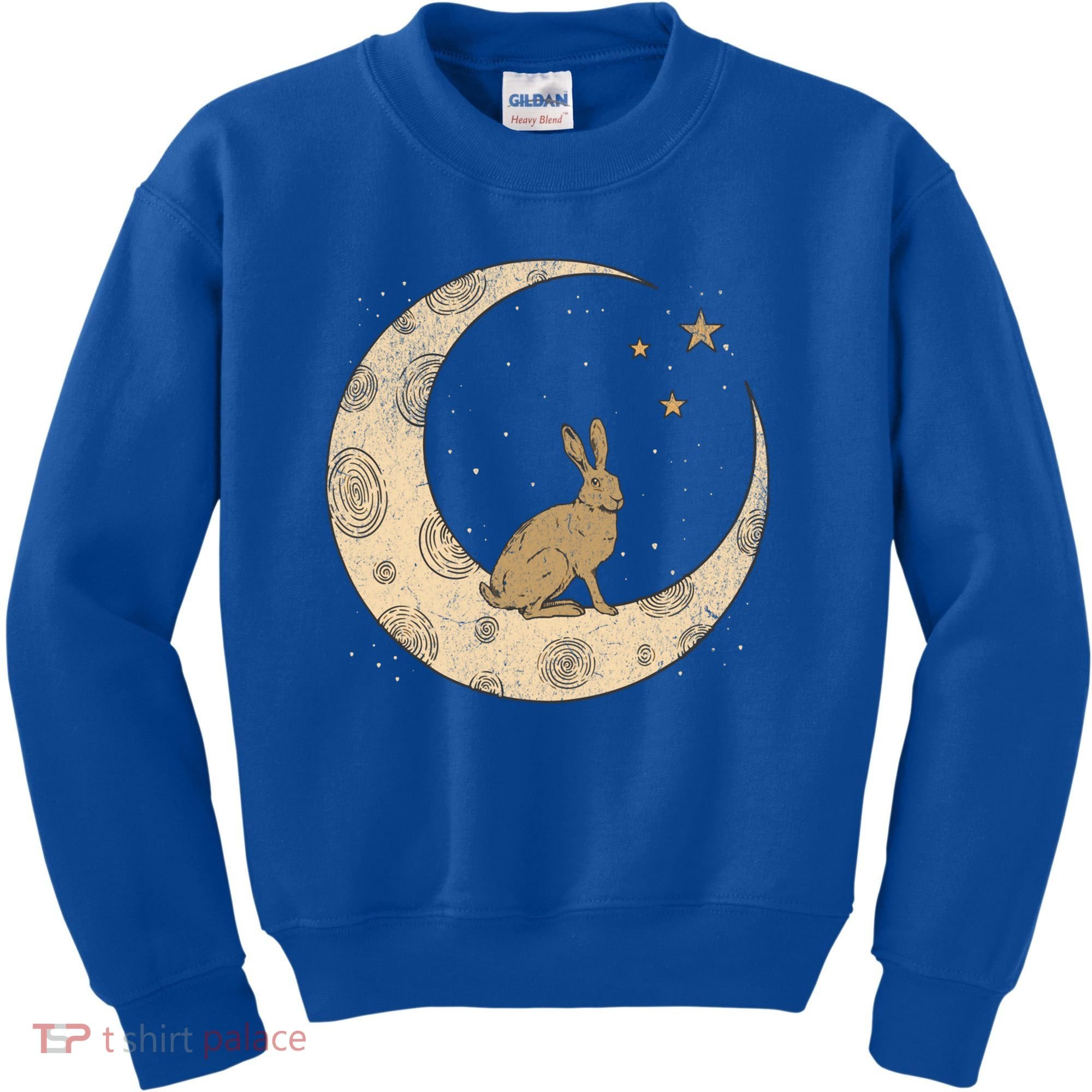 Crescent Moon Rabbit Stars Wiccan Wicca Witch Moon Phases Gift Kids Sweatshirt