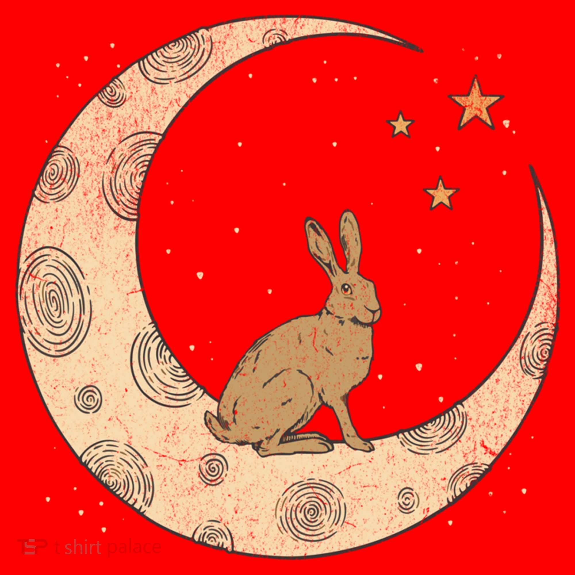 Crescent Moon Rabbit Stars Wiccan Wicca Witch Moon Phases Gift Santa Hat