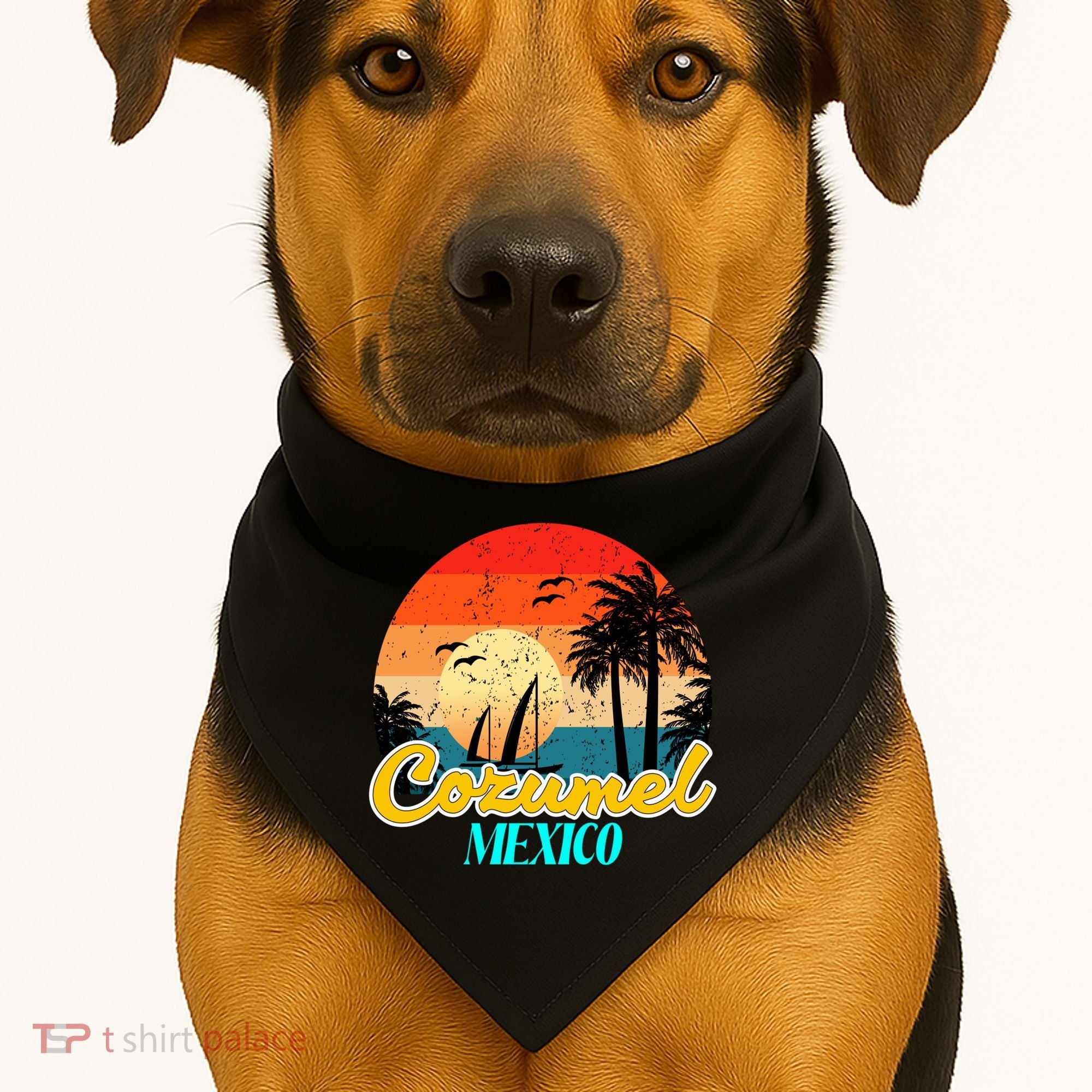 Cozumel Mexico Souvenirs Yucatan Mexico Vacay Mode Gift USA-Made Doggie Bandana