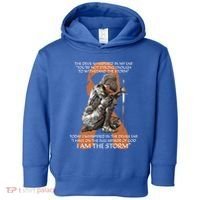 Cute Multiple Sclerosis Gift Great Gift Funny Gift Awareness Cool Gift Toddler Hoodie thumb 0