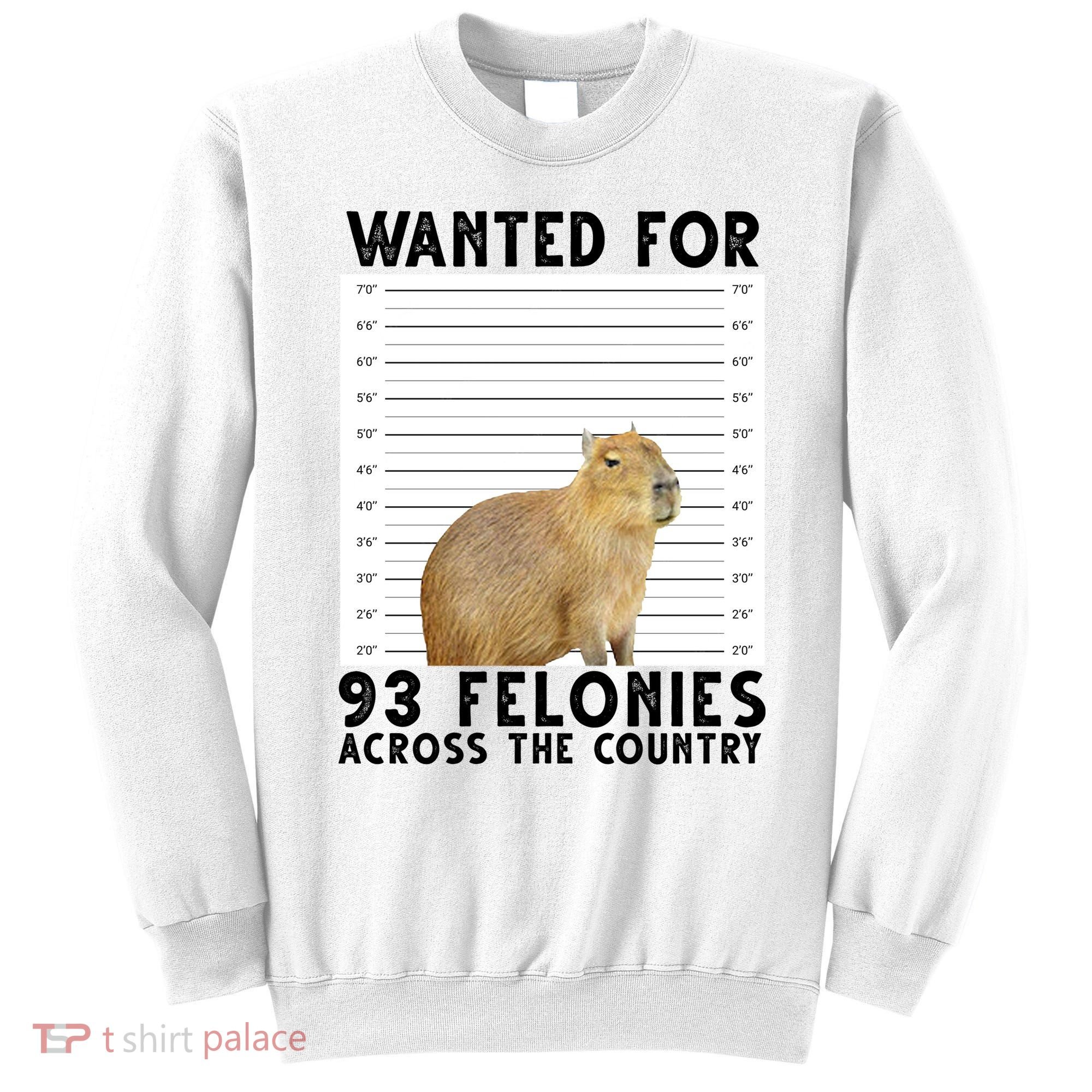 Capybara Mugshot Wanted For 93 Felonies Across The Country Sweatshirt