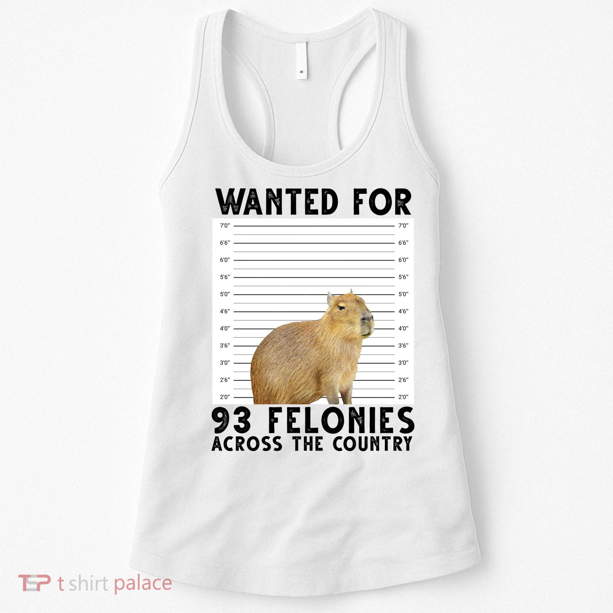 Capybara Mugshot Wanted For 93 Felonies Across The Country Women's Tank Top