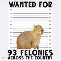 Capybara Mugshot Wanted For 93 Felonies Across The Country Women's Tank Top thumb 5