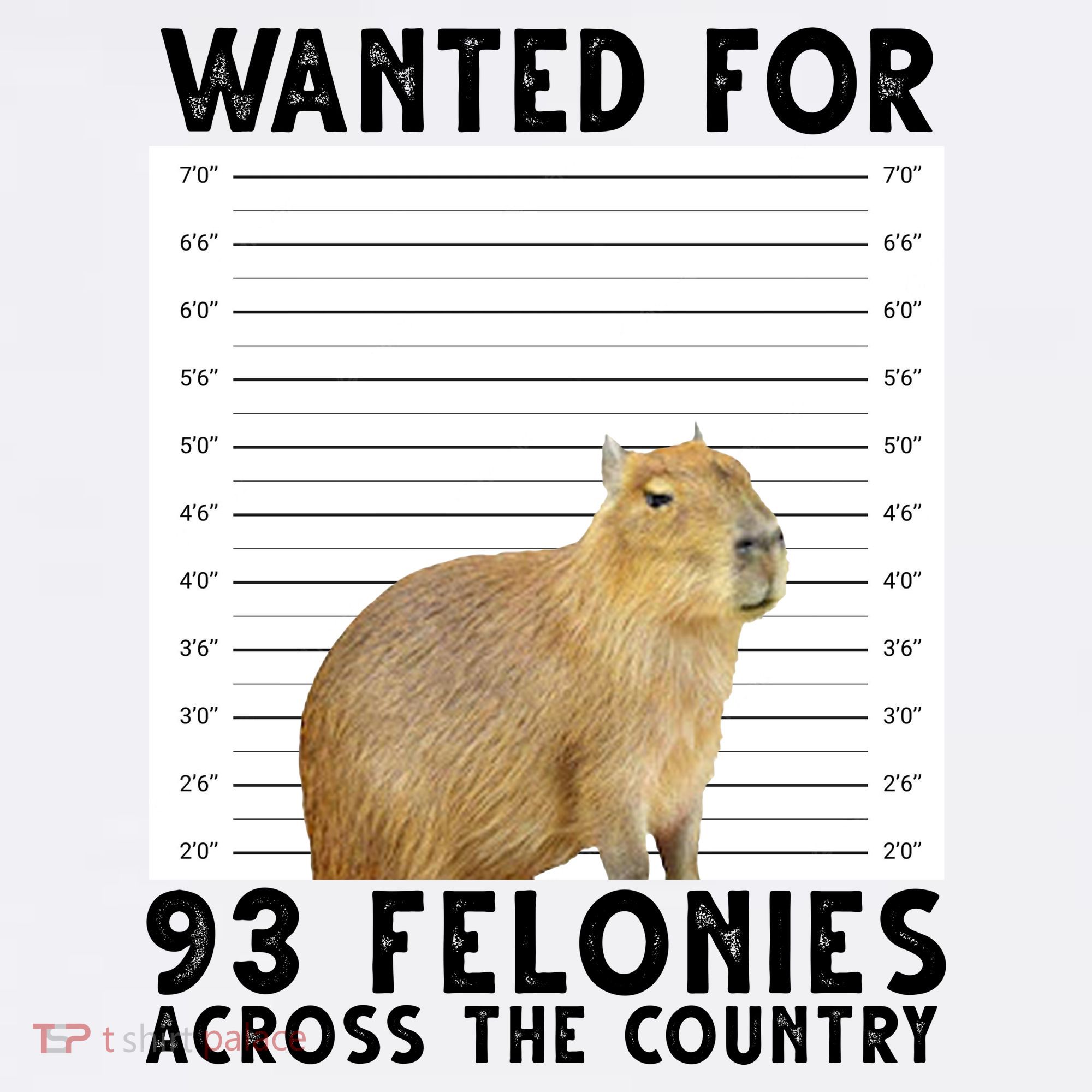 Capybara Mugshot Wanted For 93 Felonies Across The Country Women's Tank Top
