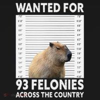 Capybara Mugshot Wanted For 93 Felonies Across The Country Women's Hoodie thumb 2