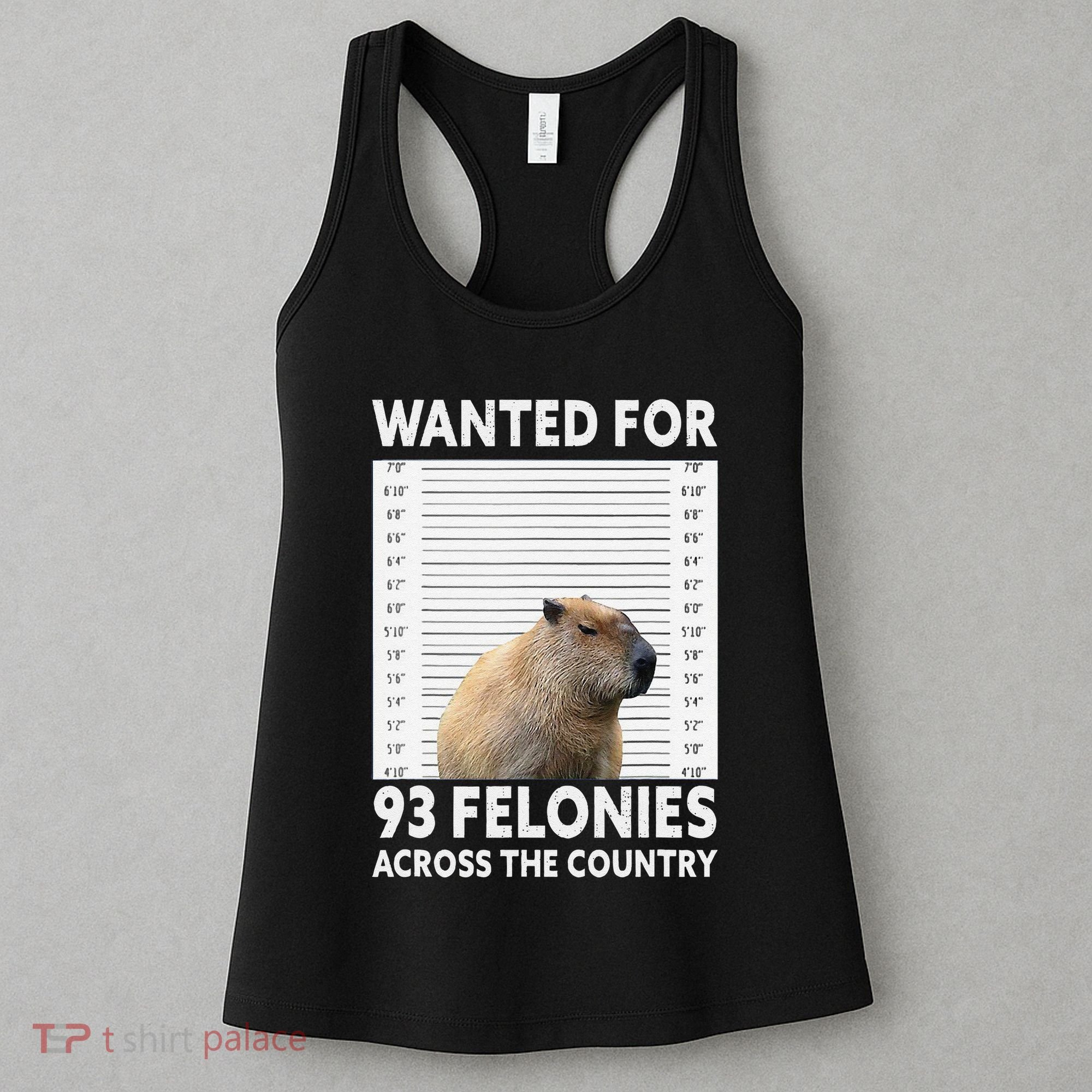 Capybara Mugshot Wanted For 93 Felonies Across The Country Women's Tank Top