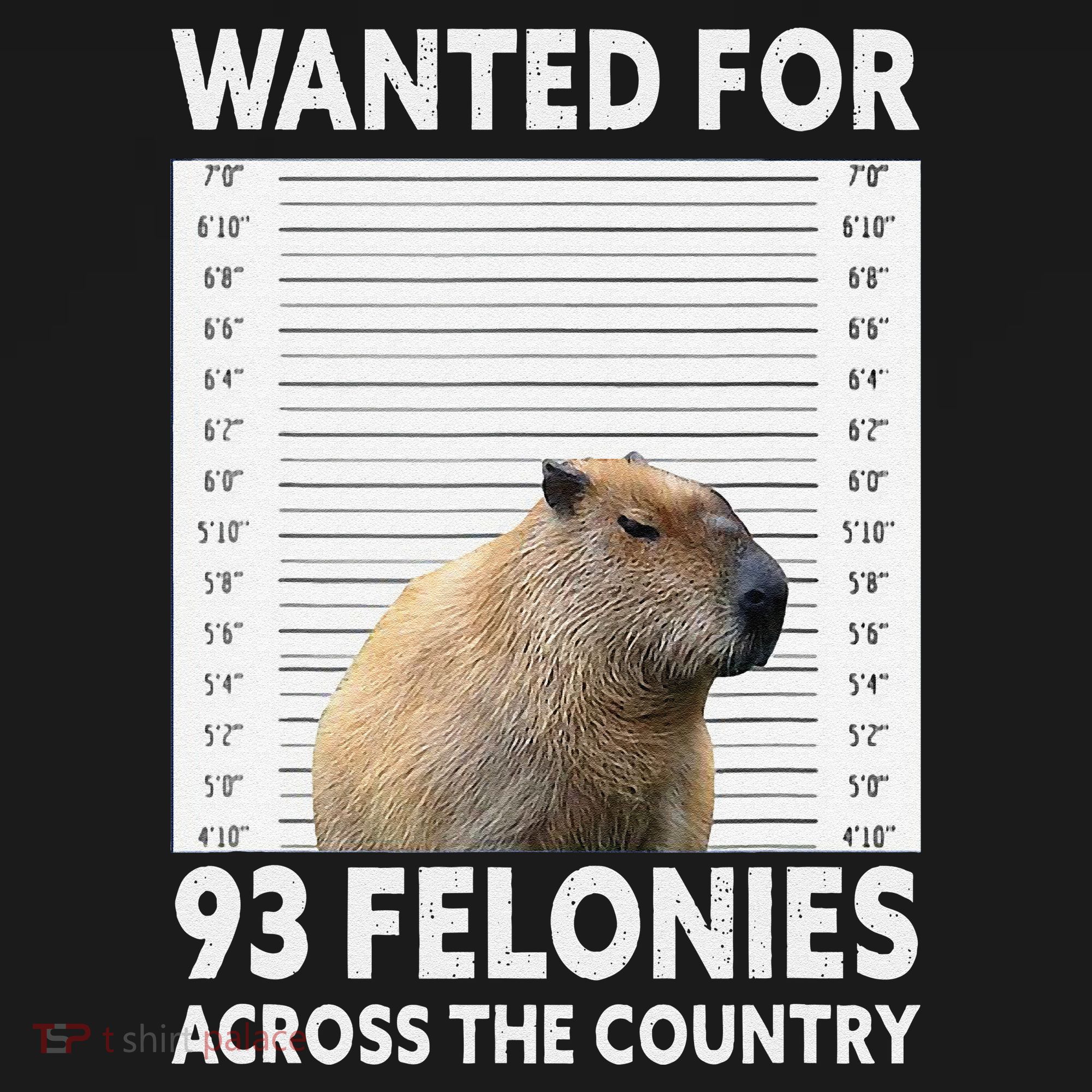 Capybara Mugshot Wanted For 93 Felonies Across The Country Women's Tank Top