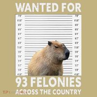 Capybara Mugshot Wanted For 93 Felonies Across The Country T-Shirt thumb 7