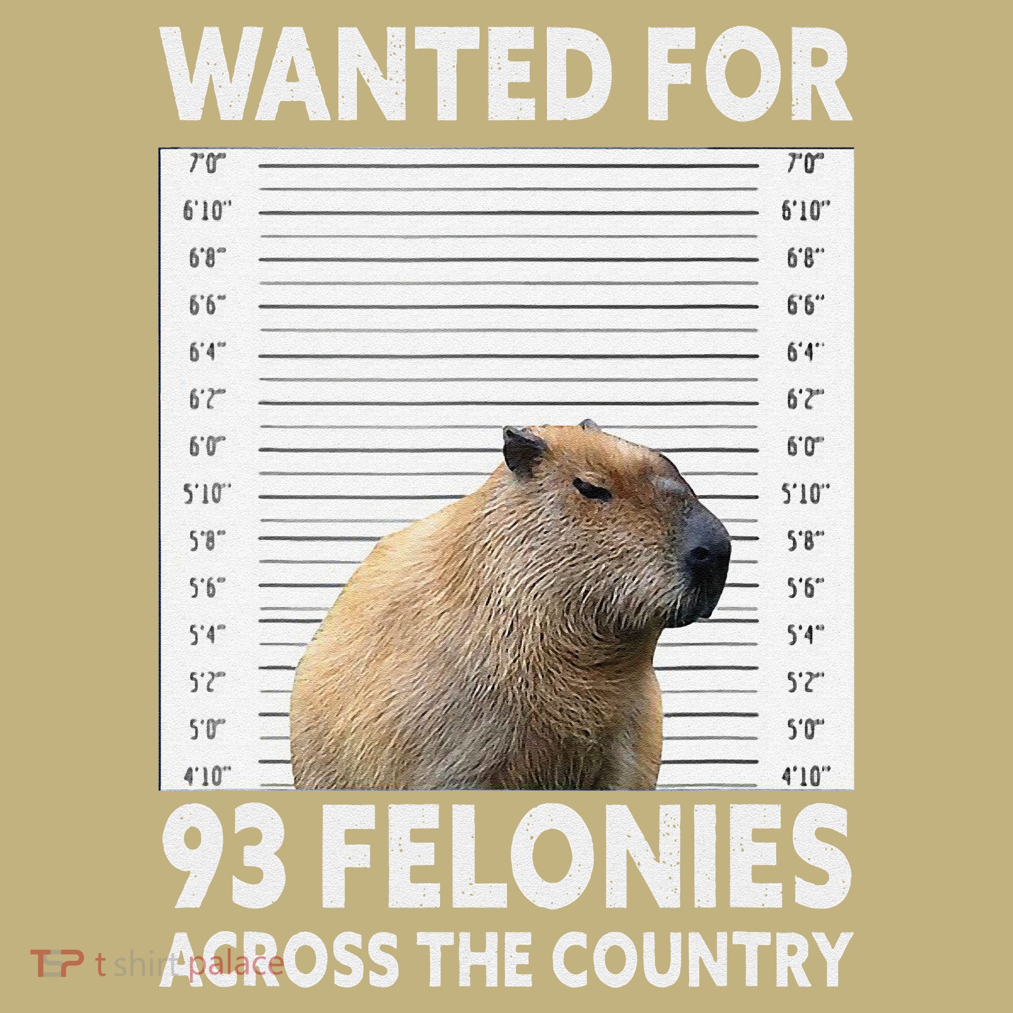Capybara Mugshot Wanted For 93 Felonies Across The Country T-Shirt