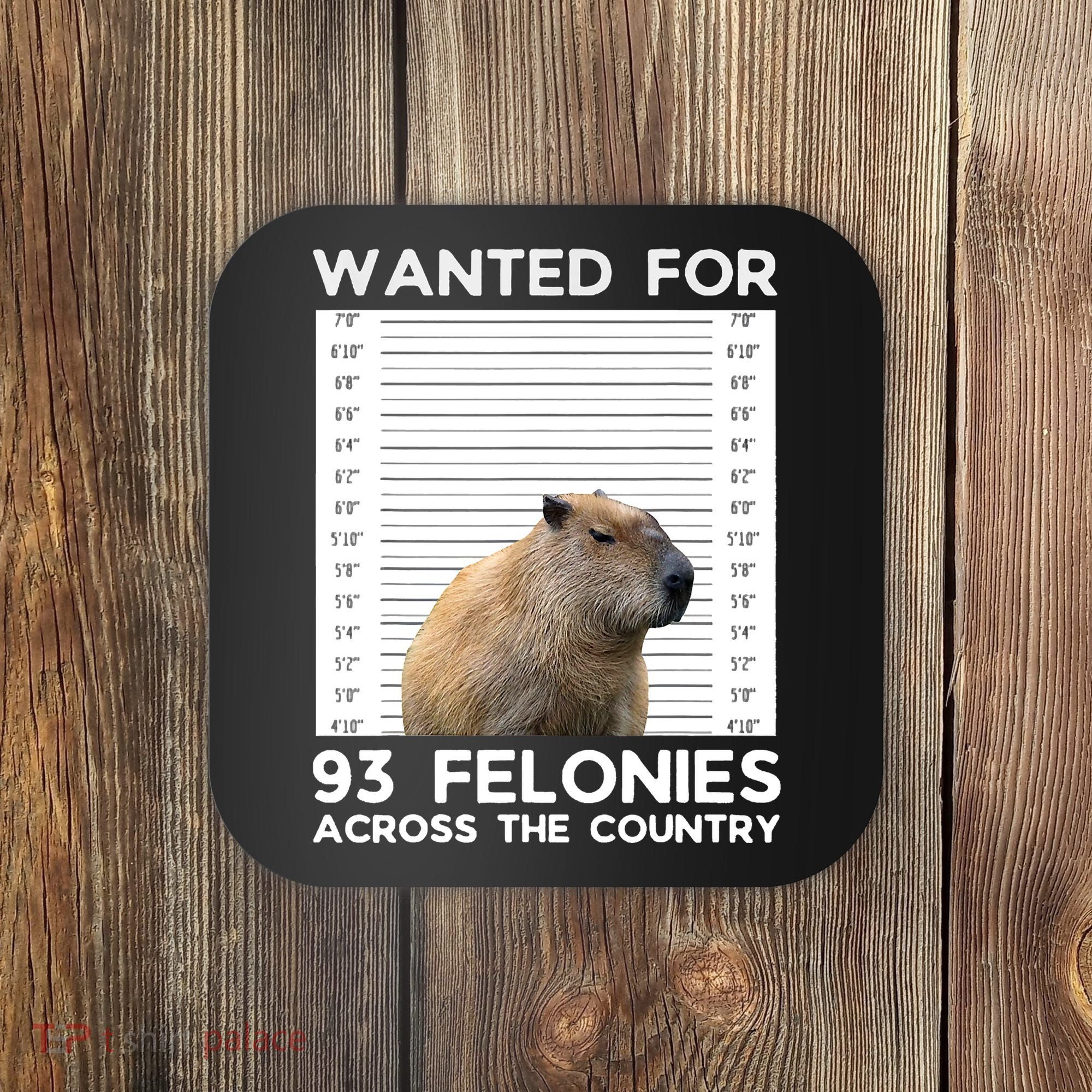 Capybara Mugshot Wanted For 93 Felonies Across The Country Coaster