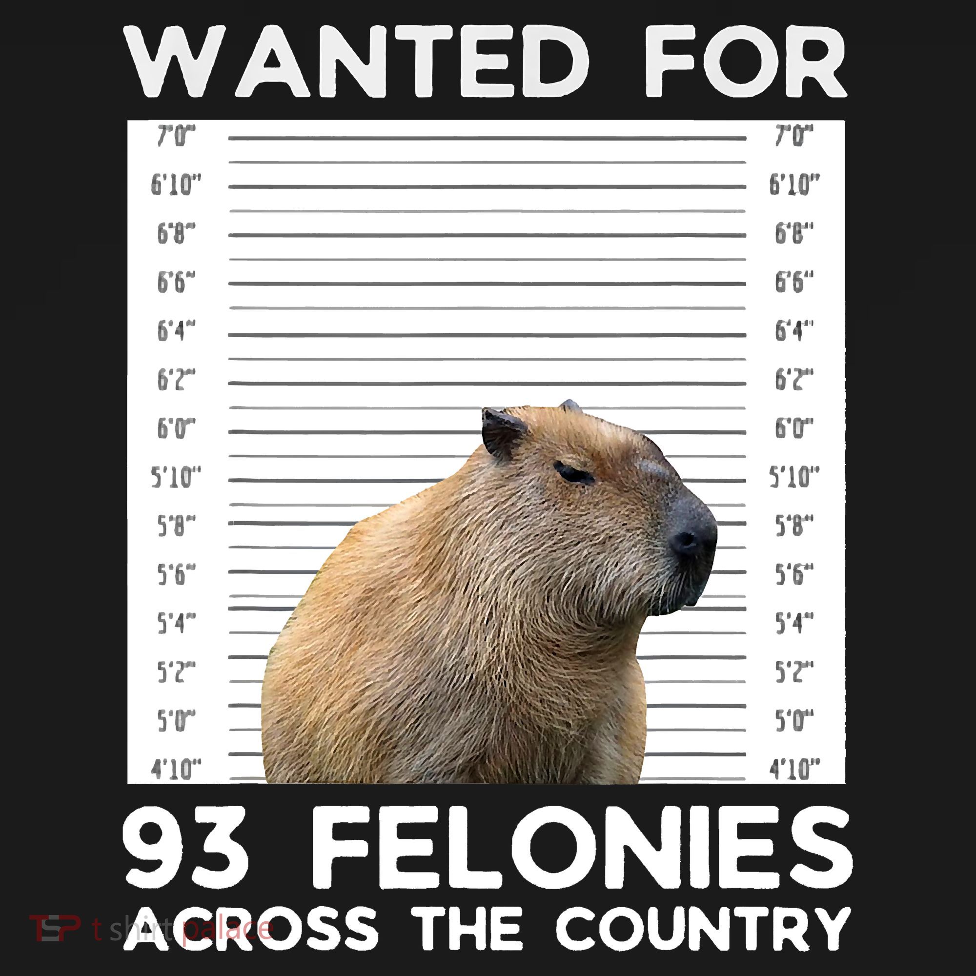 Capybara Mugshot Wanted For 93 Felonies Across The Country Coaster