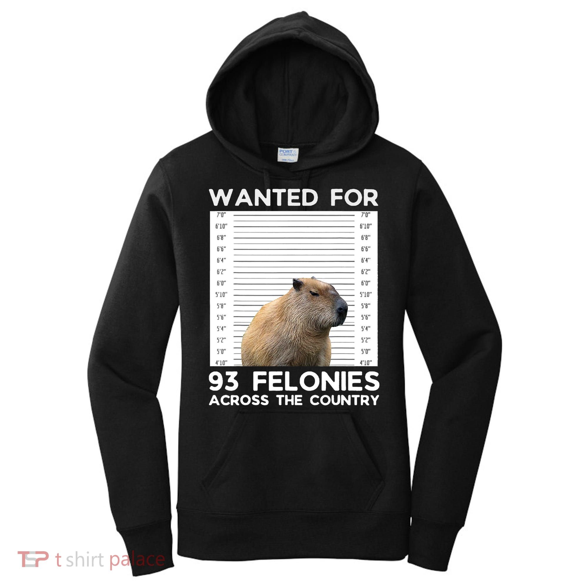 Capybara Mugshot Wanted For 93 Felonies Across The Country Women's Hoodie
