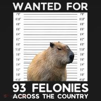 Capybara Mugshot Wanted For 93 Felonies Across The Country Women's Tank Top thumb 5