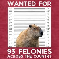 Capybara Mugshot Wanted For 93 Felonies Across The Country T-Shirt thumb 5