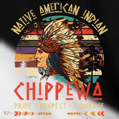 Chippewa Native American Indian Pride Indigenous Tribe Toddler Fine Jersey T-Shirt