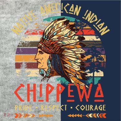 Chippewa Native American Indian Pride Indigenous Tribe Kids Colorblock Raglan Jersey