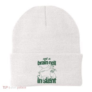 Cat Not A Brain Cell In Sight Beanie
