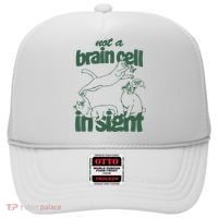 Cat Not A Brain Cell In Sight Hat thumb 0