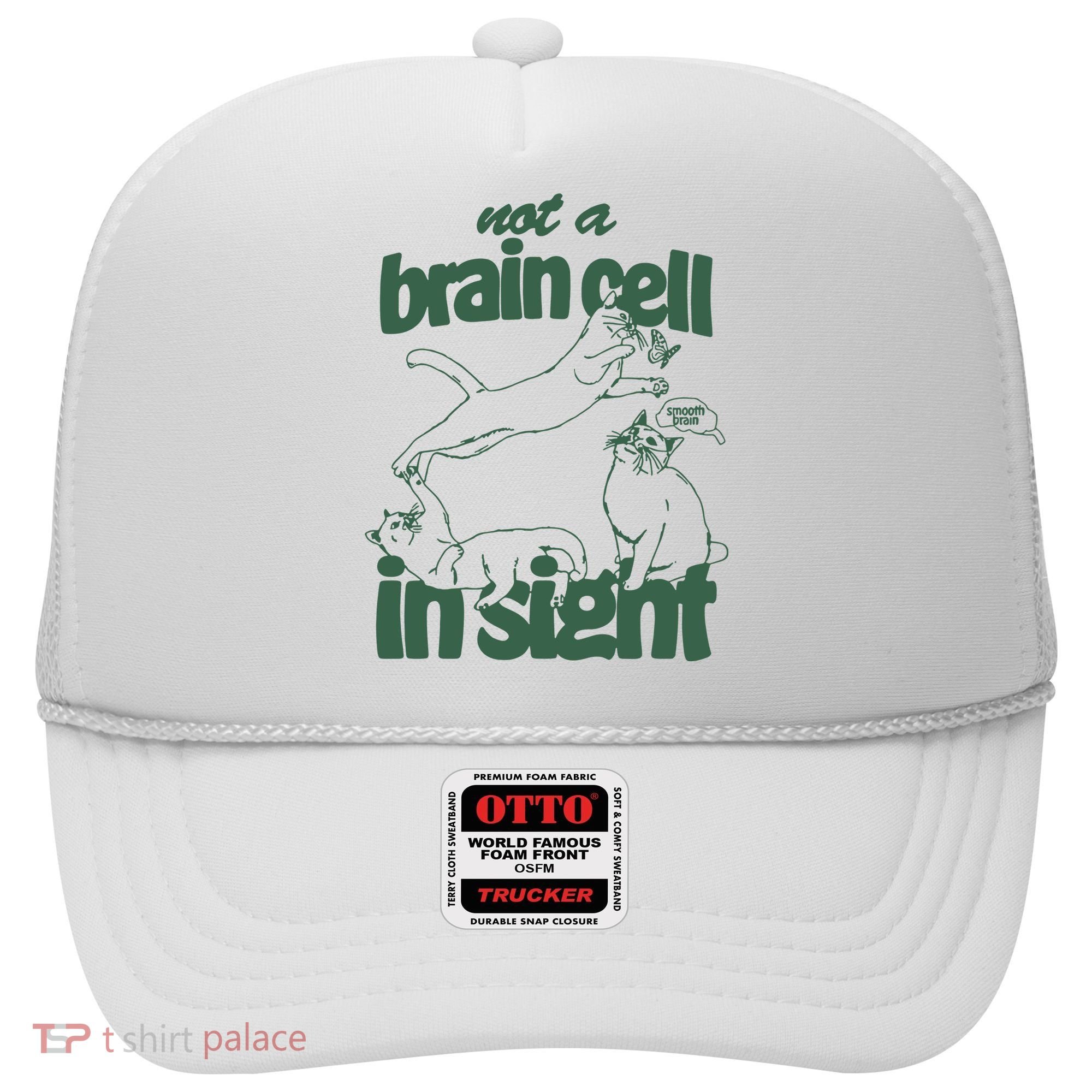 Cat Not A Brain Cell In Sight Hat