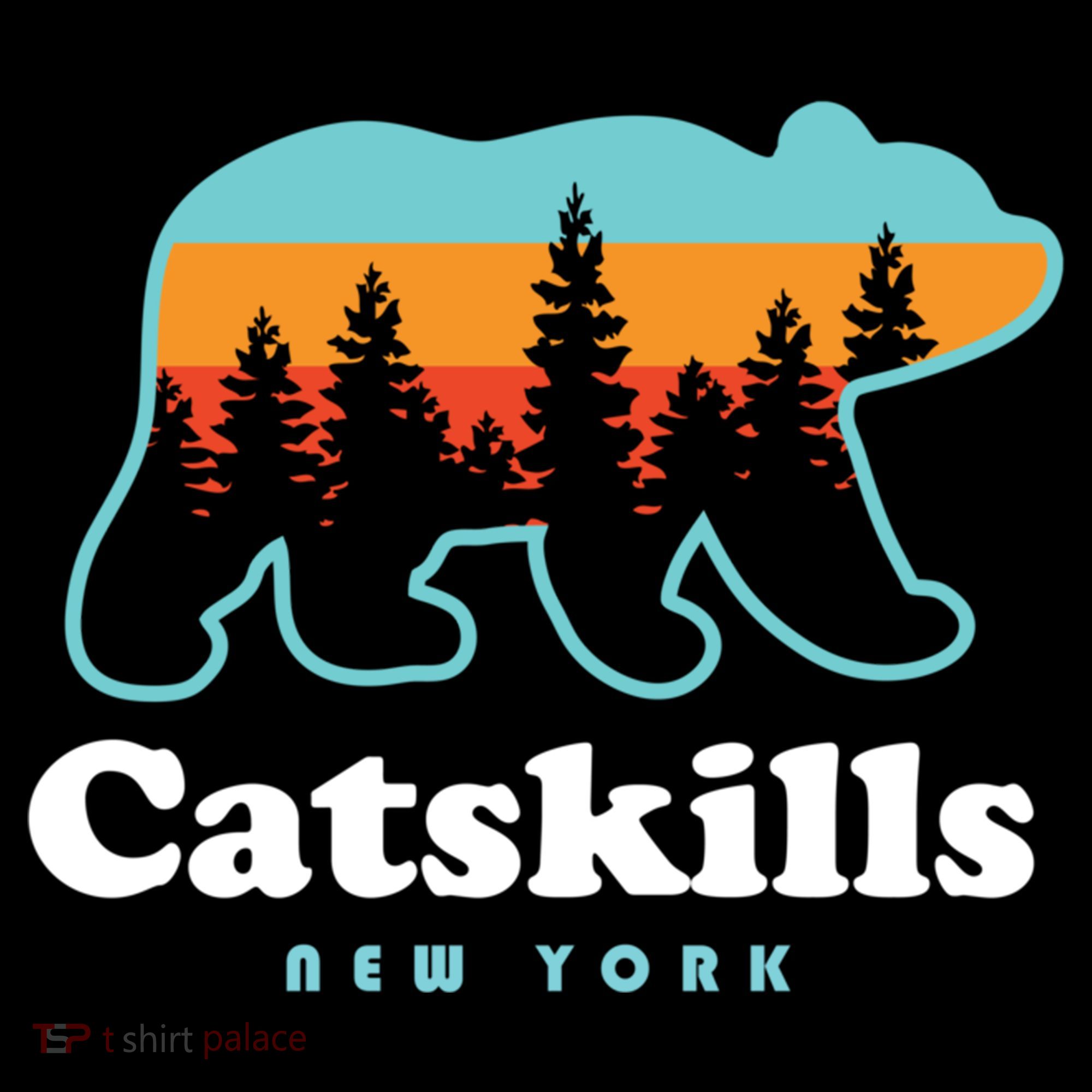 Catskills Ny Bear Mountains Camping Hiking New York Gift Coffee Mug