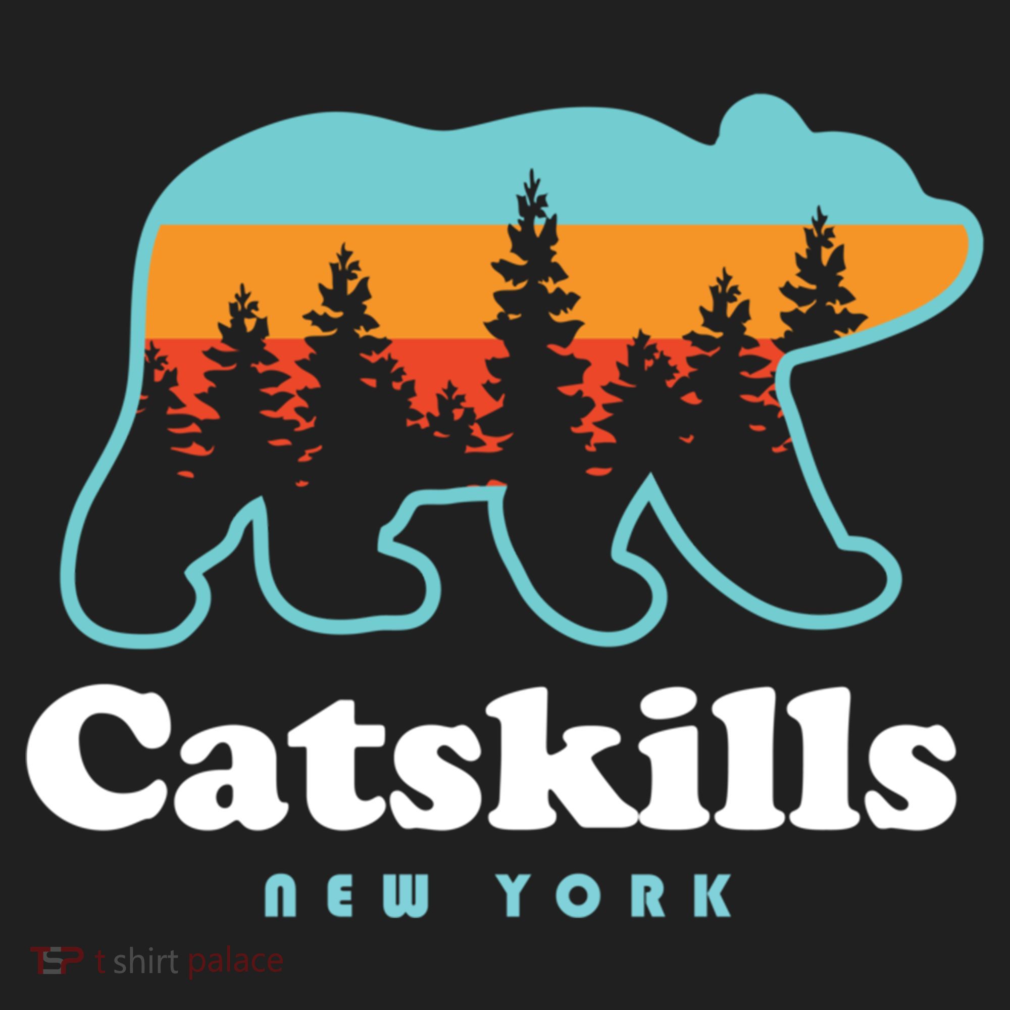 Catskills Ny Bear Mountains Camping Hiking New York Gift Hat