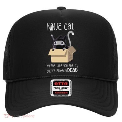Cute Ninja Cat Hat