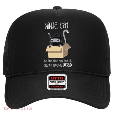 Cute Ninja Cat Hat