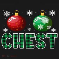 Chest Nuts Christmas Matching Couple Plaid Graphic Chestnuts  Visor thumb 3