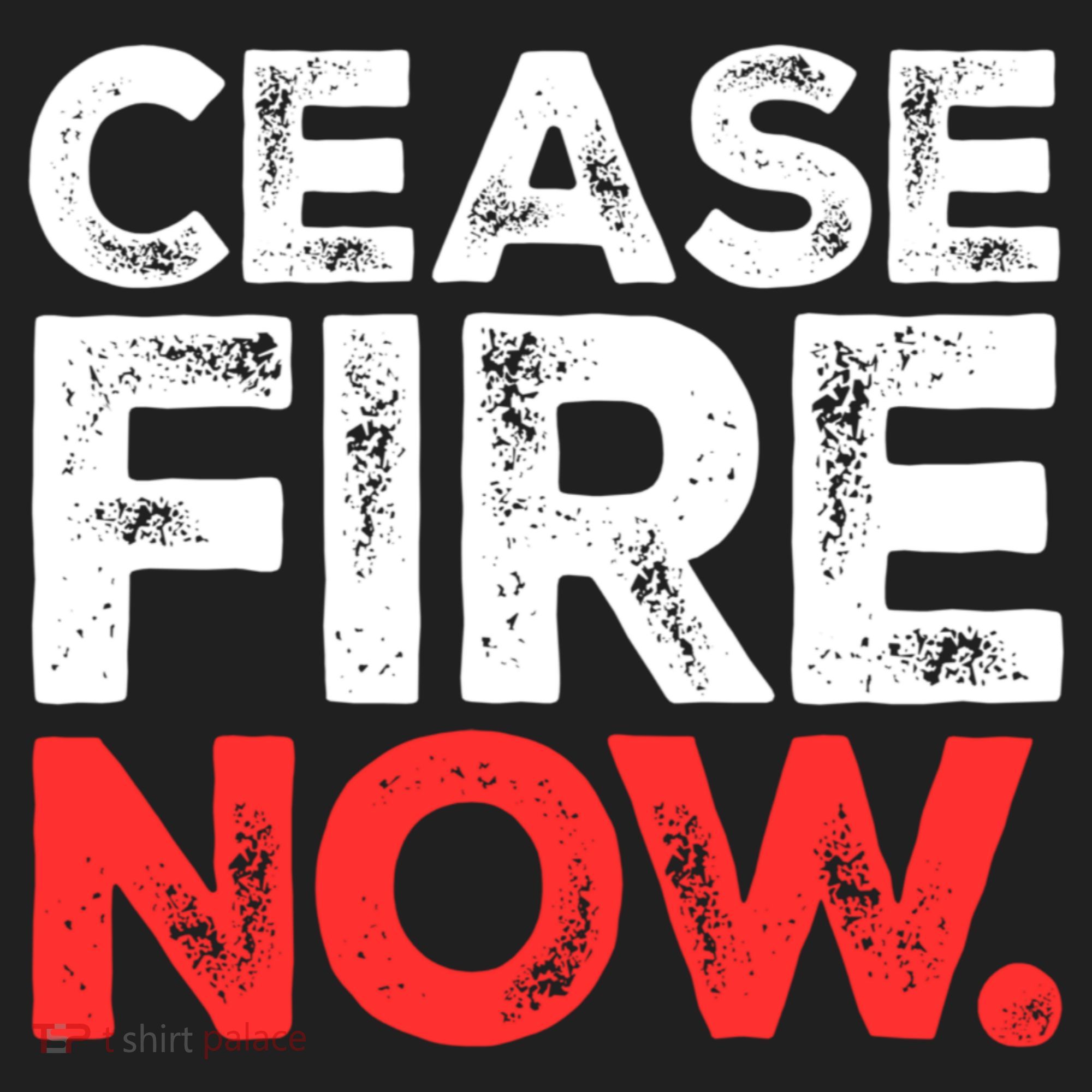 Ceasefire Now Beanie