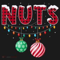 Chest Nuts Christmas Shirt Funny Matching Couple Chestnuts Women's Hoodie thumb 2
