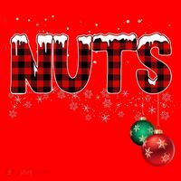 Chest Nuts Funny Matching Chestnuts Christmas Couples Santa Hat thumb 1