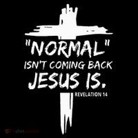 Christian Normal IsnT Coming Back Jesus Is Sweatshirt thumb 3