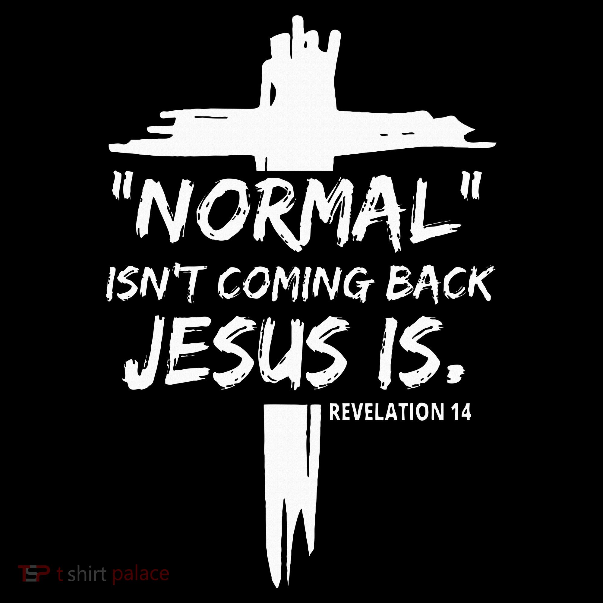 Christian Normal IsnT Coming Back Jesus Is Sweatshirt
