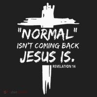 Christian Normal IsnT Coming Back Jesus Is Beanie thumb 2