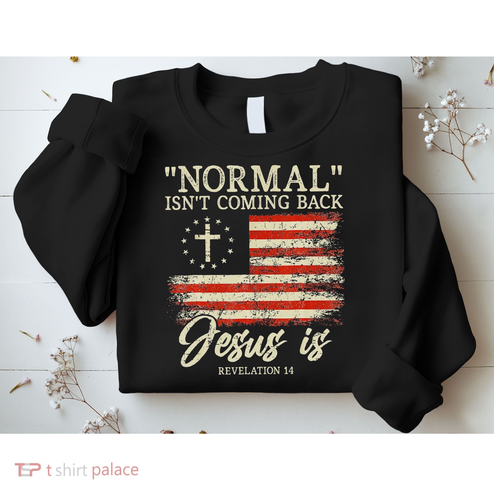 Christian Normal Isnt Coming Back Jesus Is Gift Sweatshirt