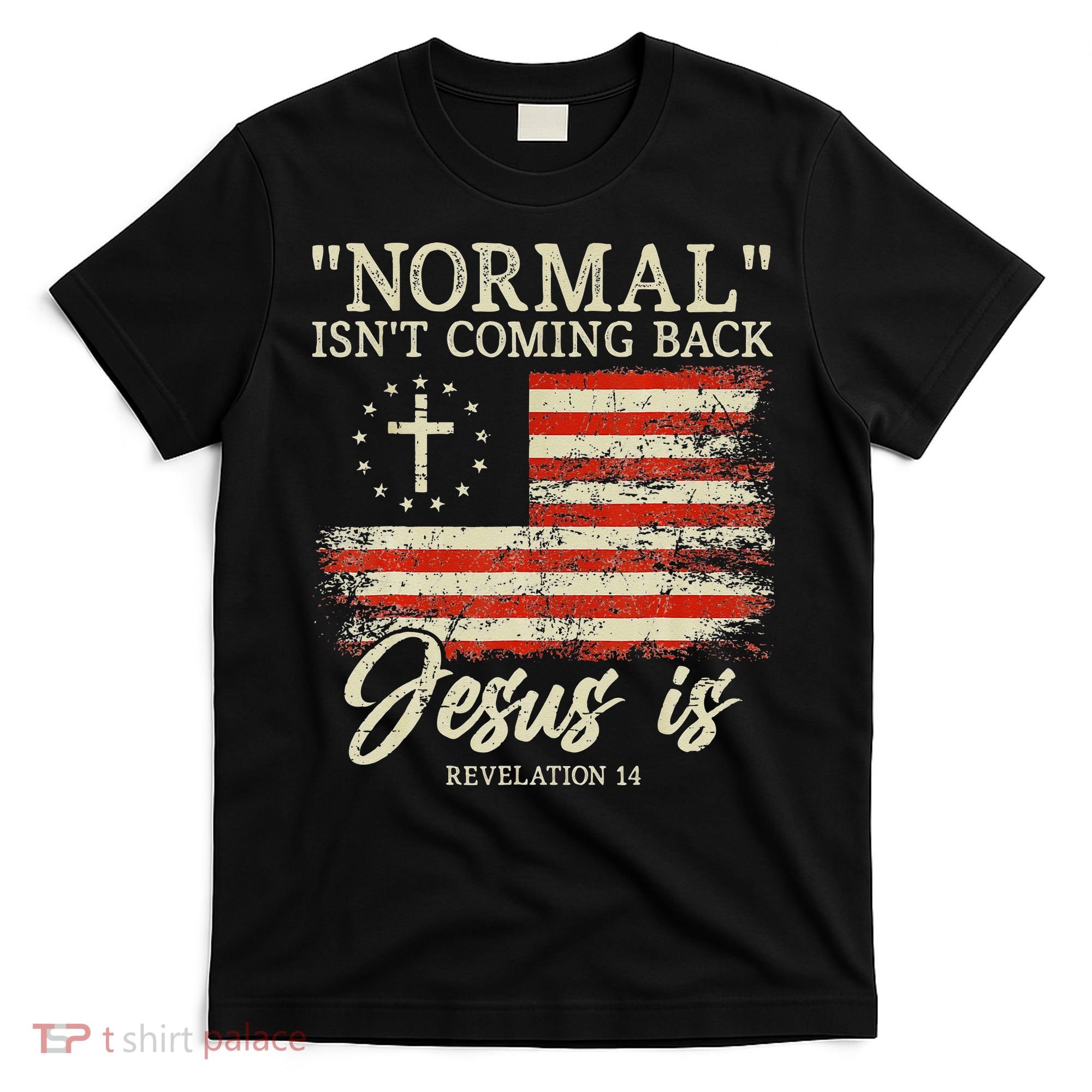 Christian Normal Isnt Coming Back Jesus Is Gift T-Shirt