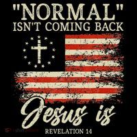 Christian Normal Isnt Coming Back Jesus Is Gift Women's Hoodie thumb 2