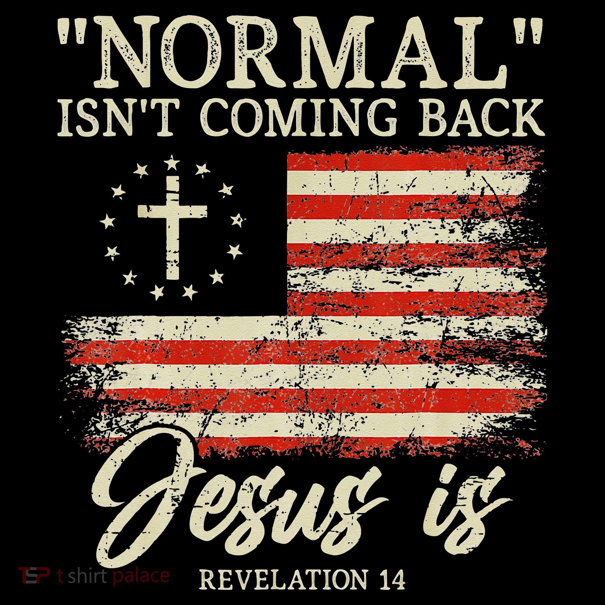 Christian Normal Isnt Coming Back Jesus Is Gift Women's Hoodie