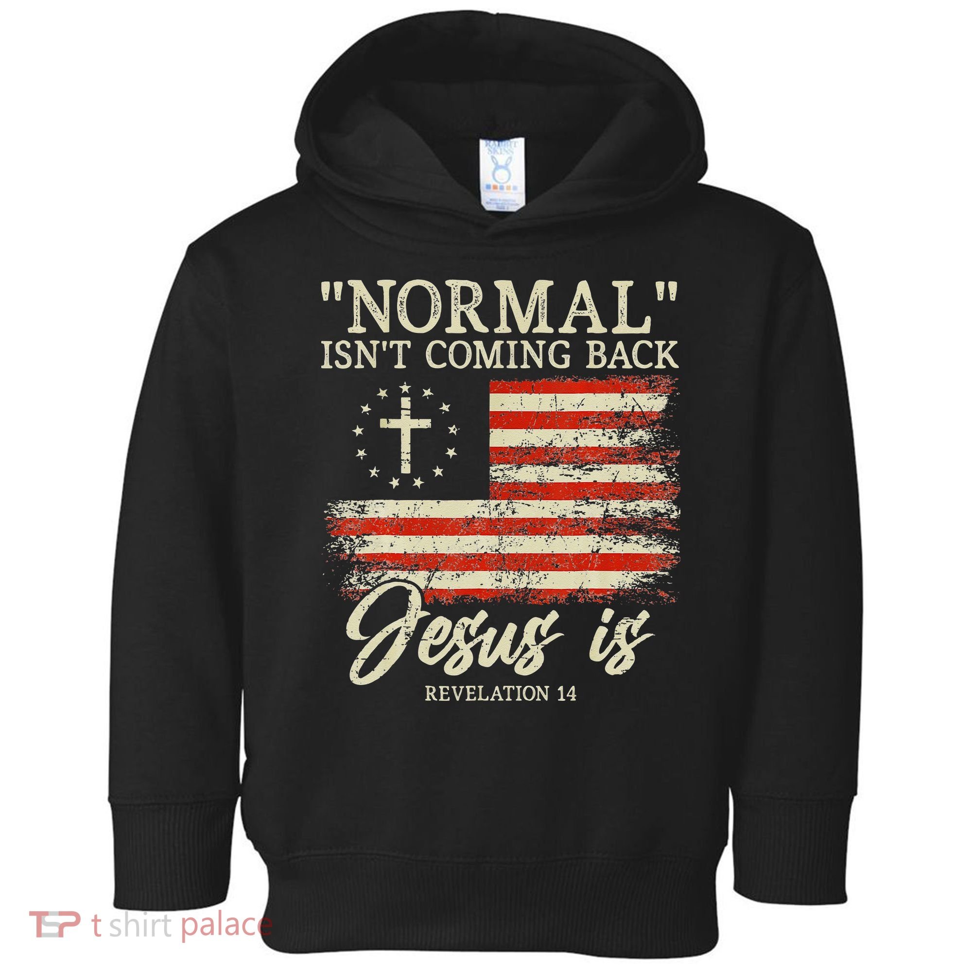 Christian Normal Isnt Coming Back Jesus Is Gift Toddler Hoodie