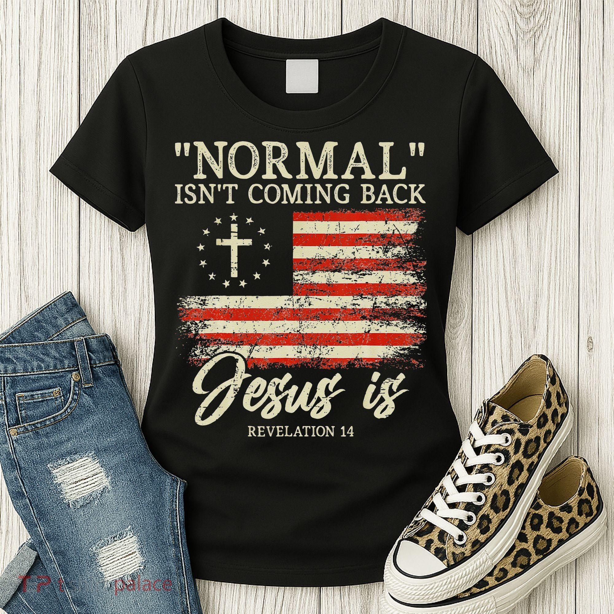 Christian Normal Isnt Coming Back Jesus Is Gift Women's T-Shirt