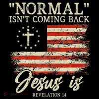 Christian Normal Isn't Coming Back Jesus Is Gift Women's Hoodie thumb 2
