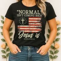 Christian Normal Isn't Coming Back Jesus Is Gift Women's T-Shirt thumb 2