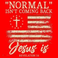 Christian Normal Isn't Coming Back Jesus Is Gift Santa Hat thumb 1
