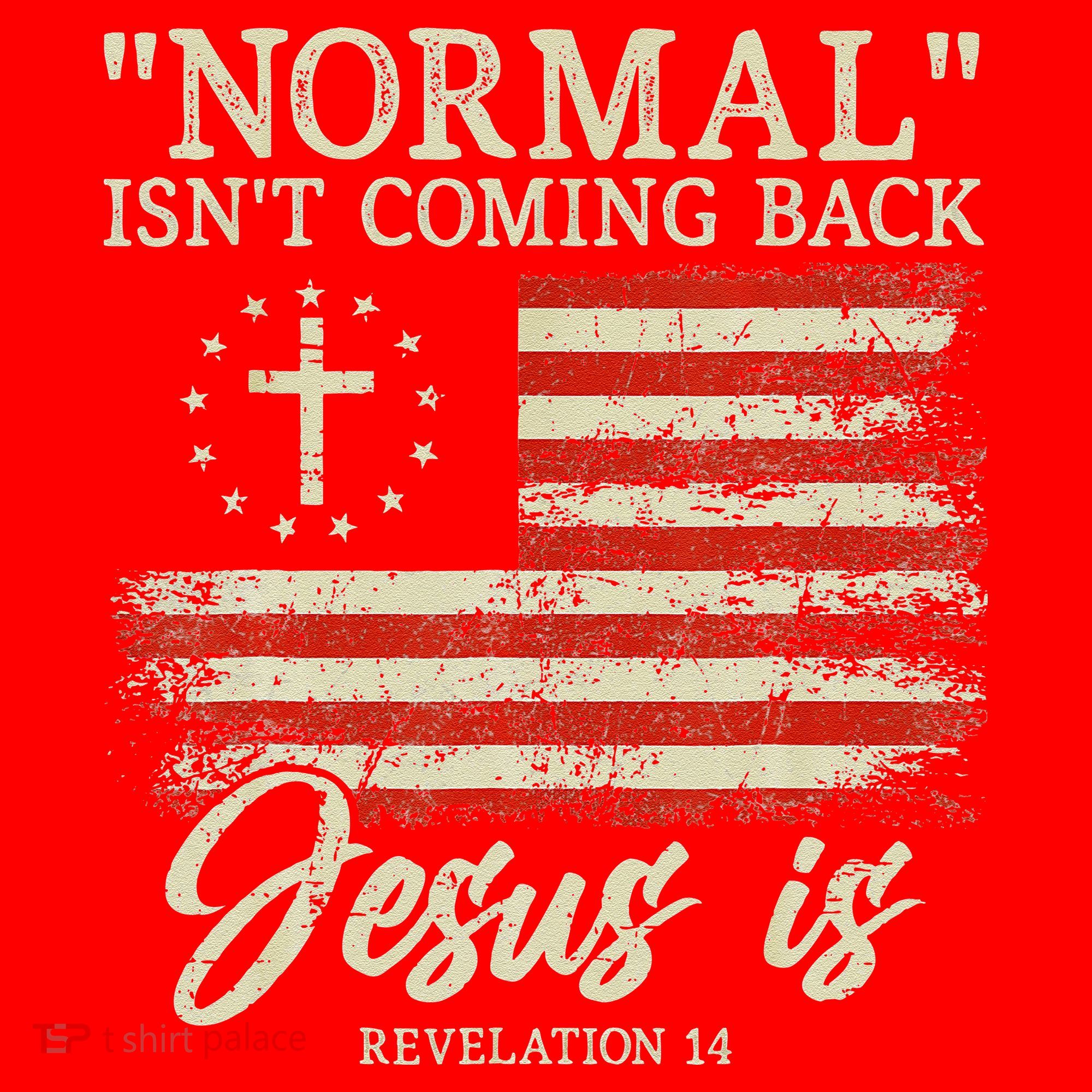 Christian Normal Isn't Coming Back Jesus Is Gift Santa Hat