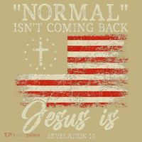 Christian Normal Isn't Coming Back Jesus Is Gift Long Sleeve Shirt thumb 2